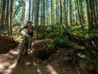 Too early for hot cross buns?