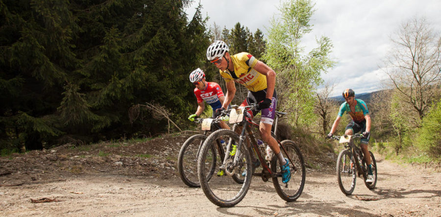 Volunteer Management